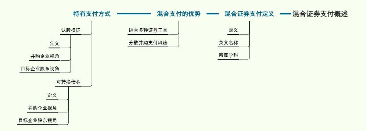 混合证券支付概述