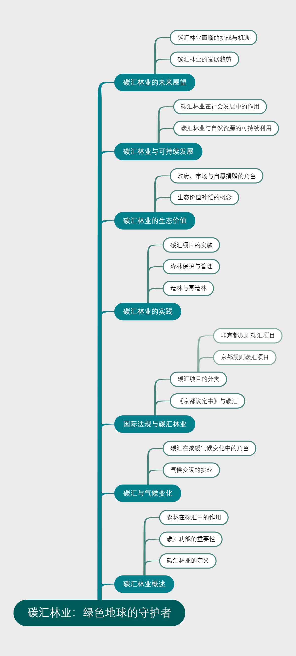 碳汇林业：绿色地球的守护者