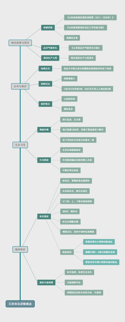 石林盲高原鳅概述