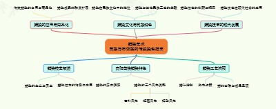 蜡染艺术：苗族与布依族的传统染色技艺