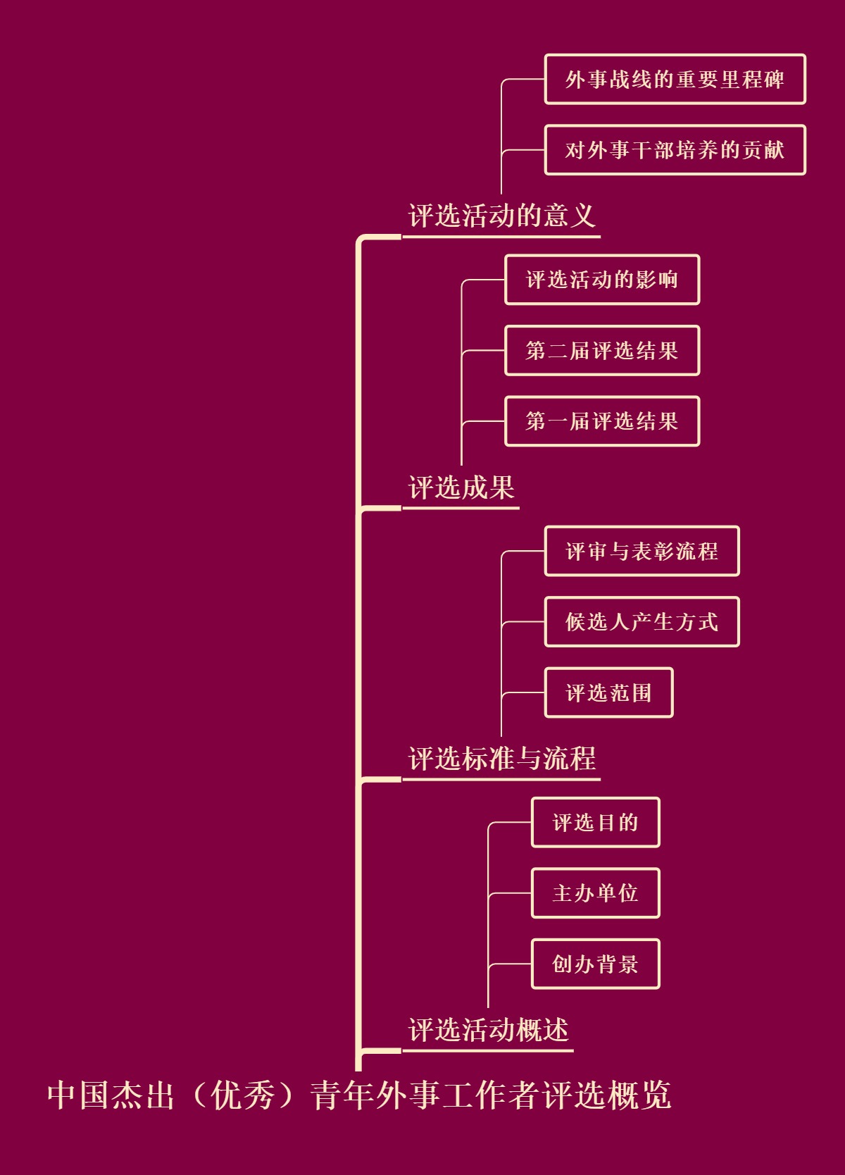 中国杰出（优秀）青年外事工作者评选概览