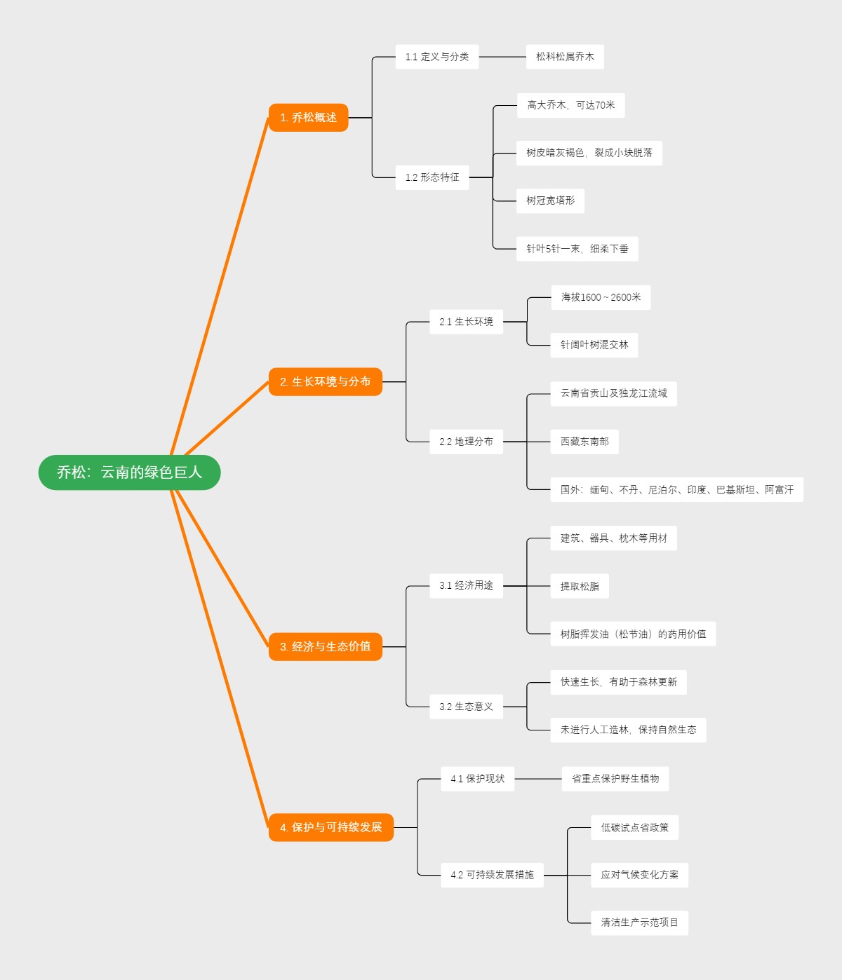 乔松：云南的绿色巨人