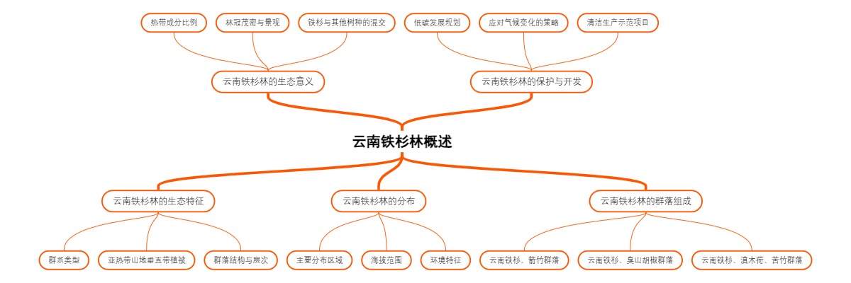 云南铁杉林概述