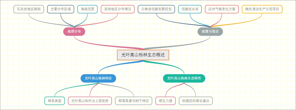 光叶高山栎林生态概述
