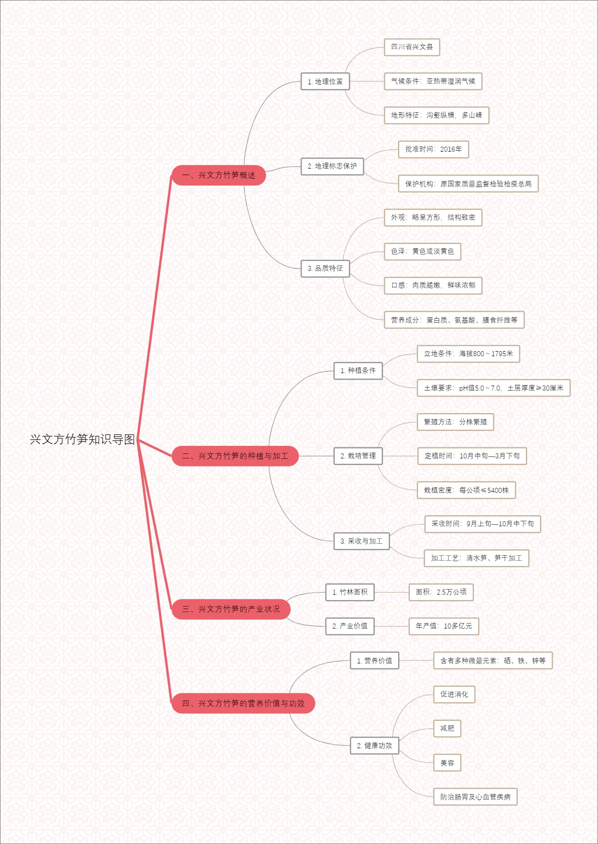 兴文方竹笋知识导图