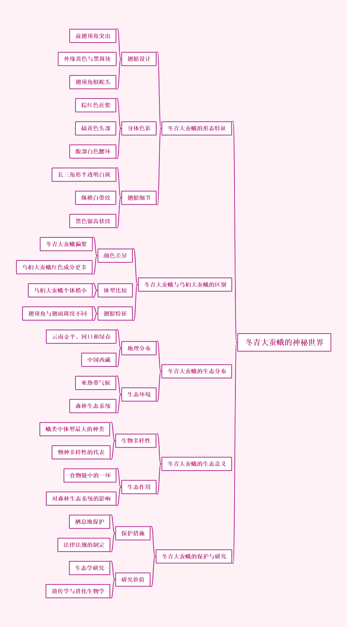 冬青大蚕蛾的神秘世界