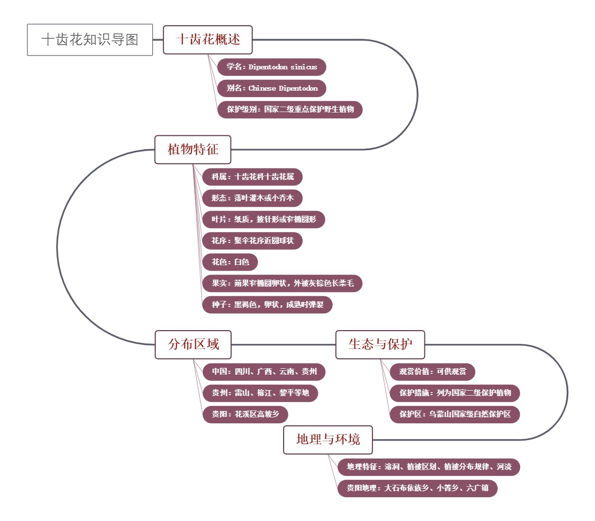 十齿花知识导图