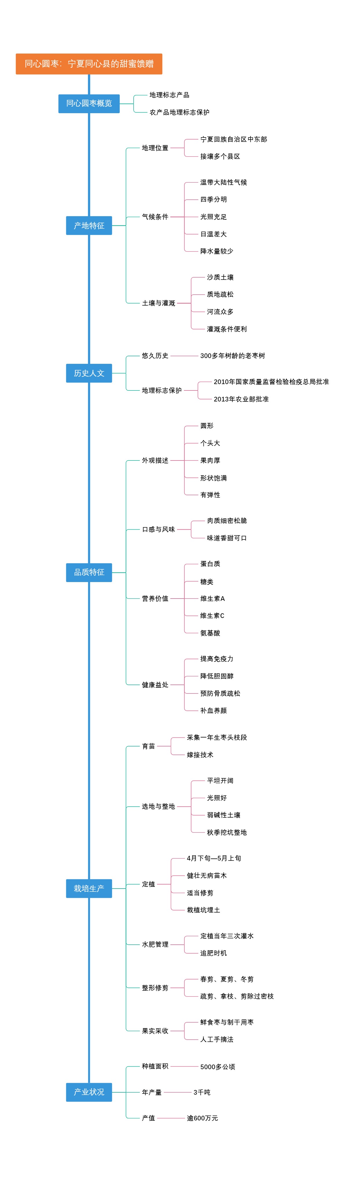 同心圆枣：宁夏同心县的甜蜜馈赠