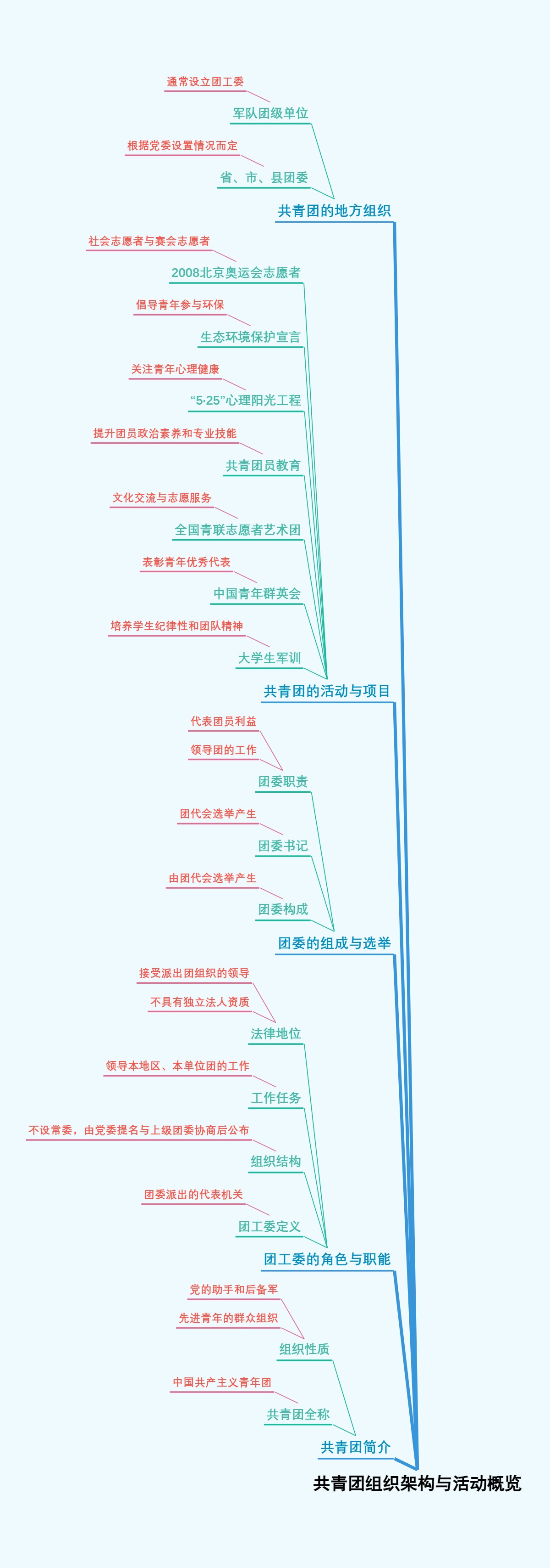 共青团组织架构与活动概览