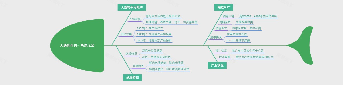 大通牦牛肉：高原之宝