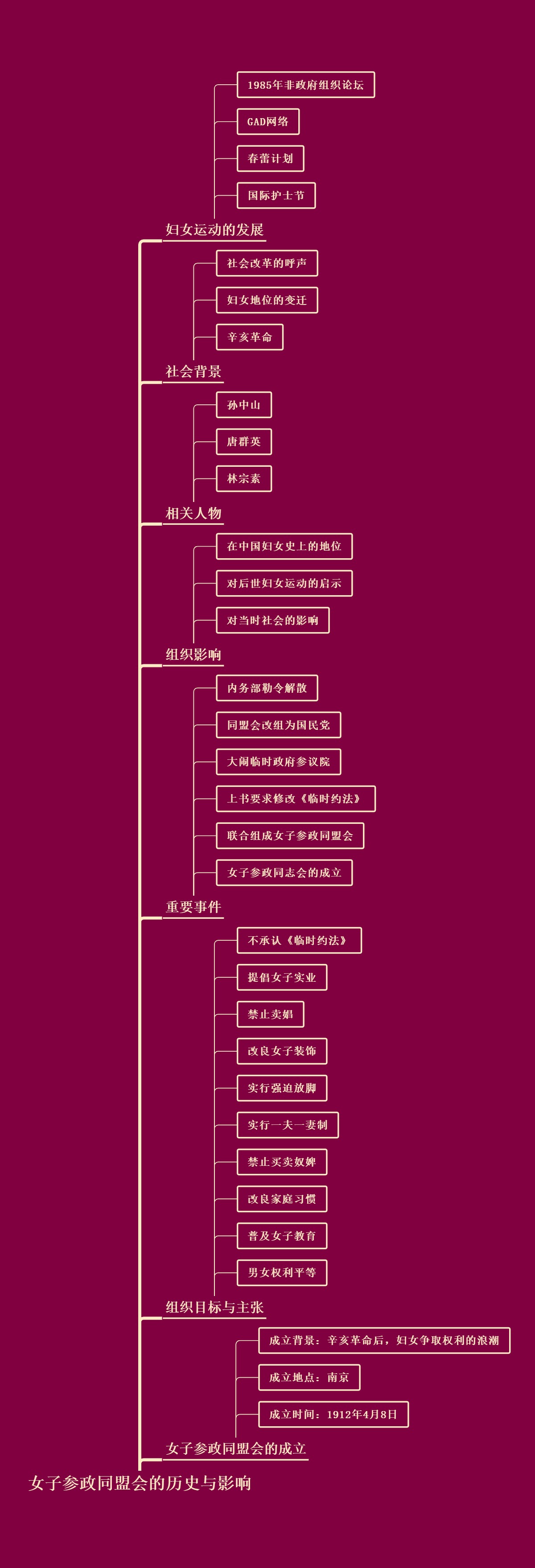 女子参政同盟会的历史与影响