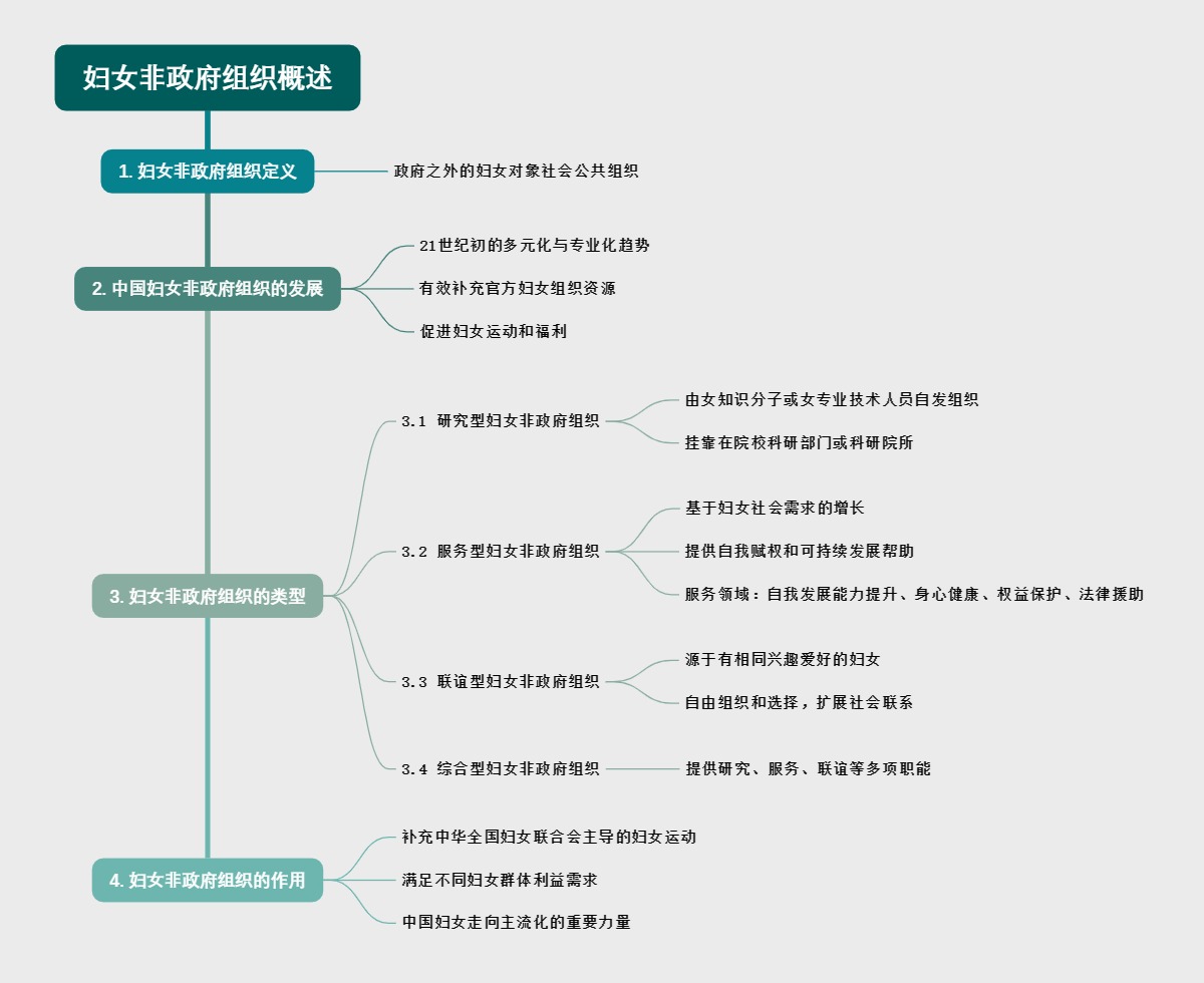 妇女非政府组织概述