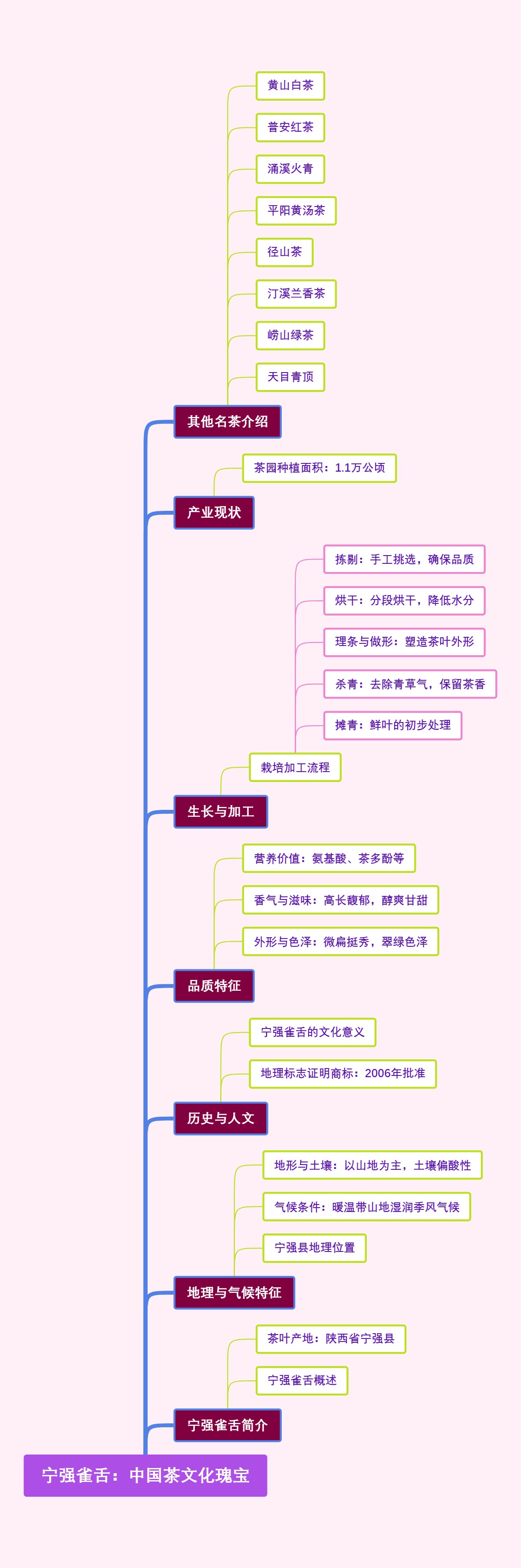 宁强雀舌：中国茶文化瑰宝
