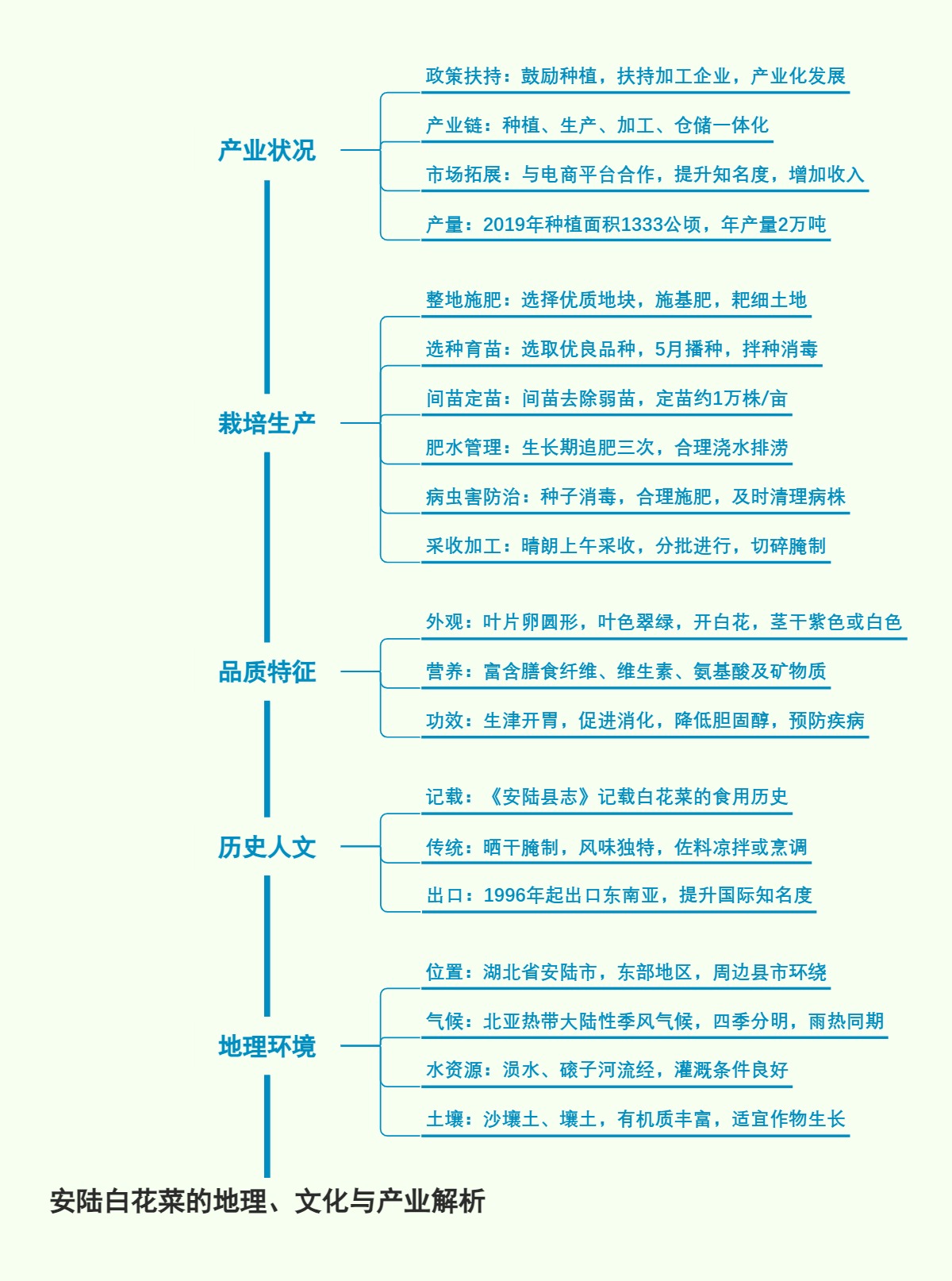 安陆白花菜的地理、文化与产业解析