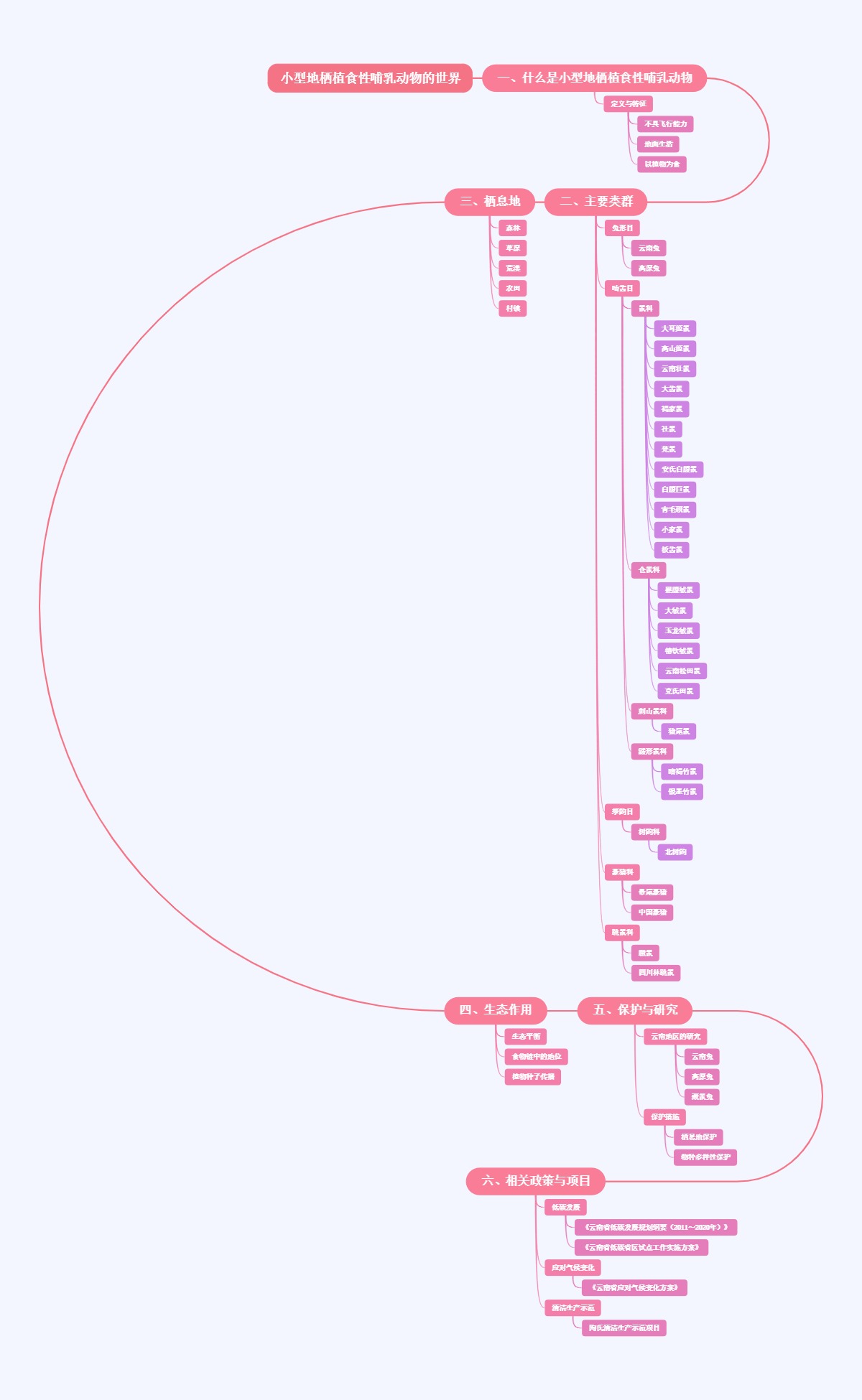 小型地栖植食性哺乳动物的世界