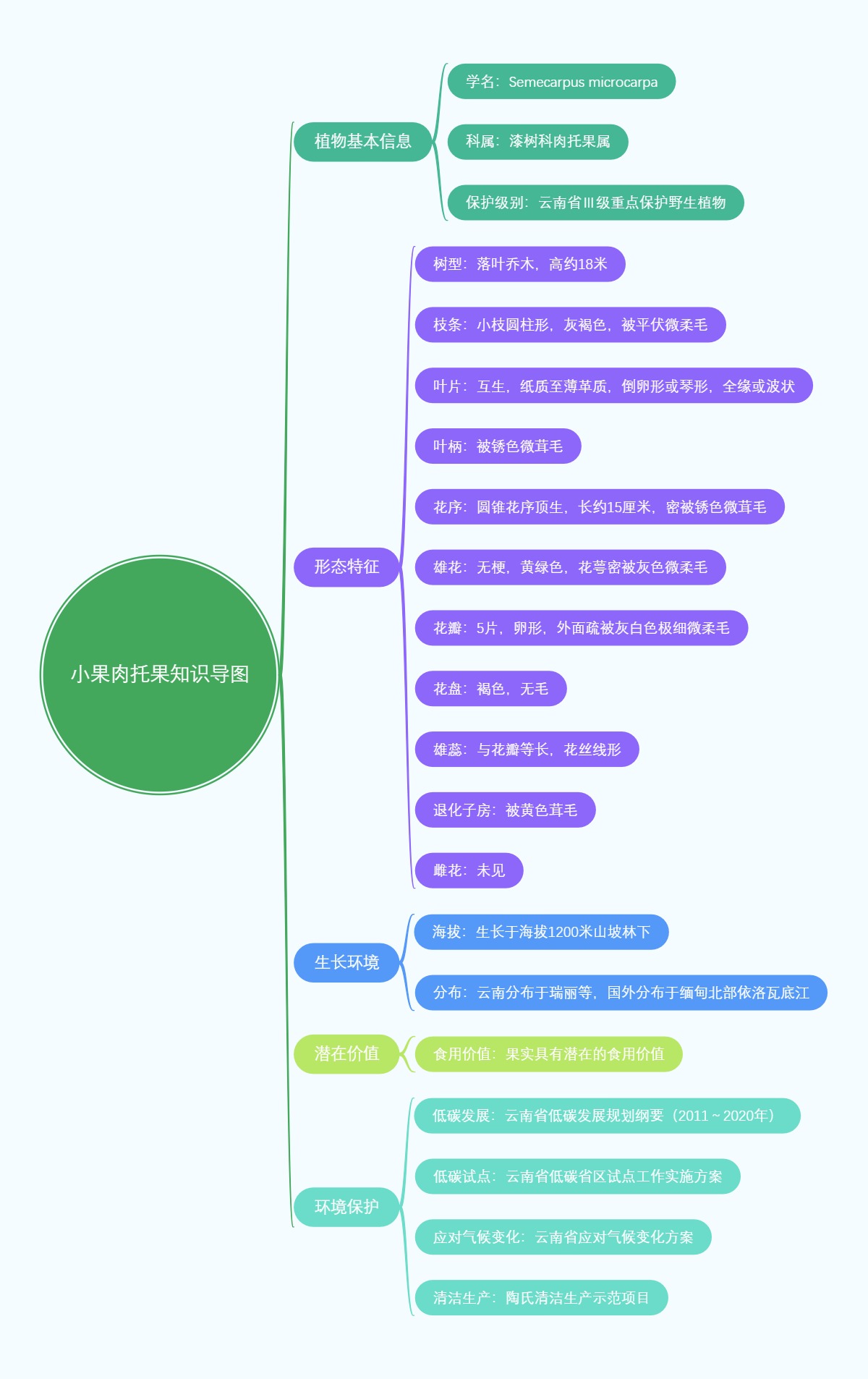 小果肉托果知识导图
