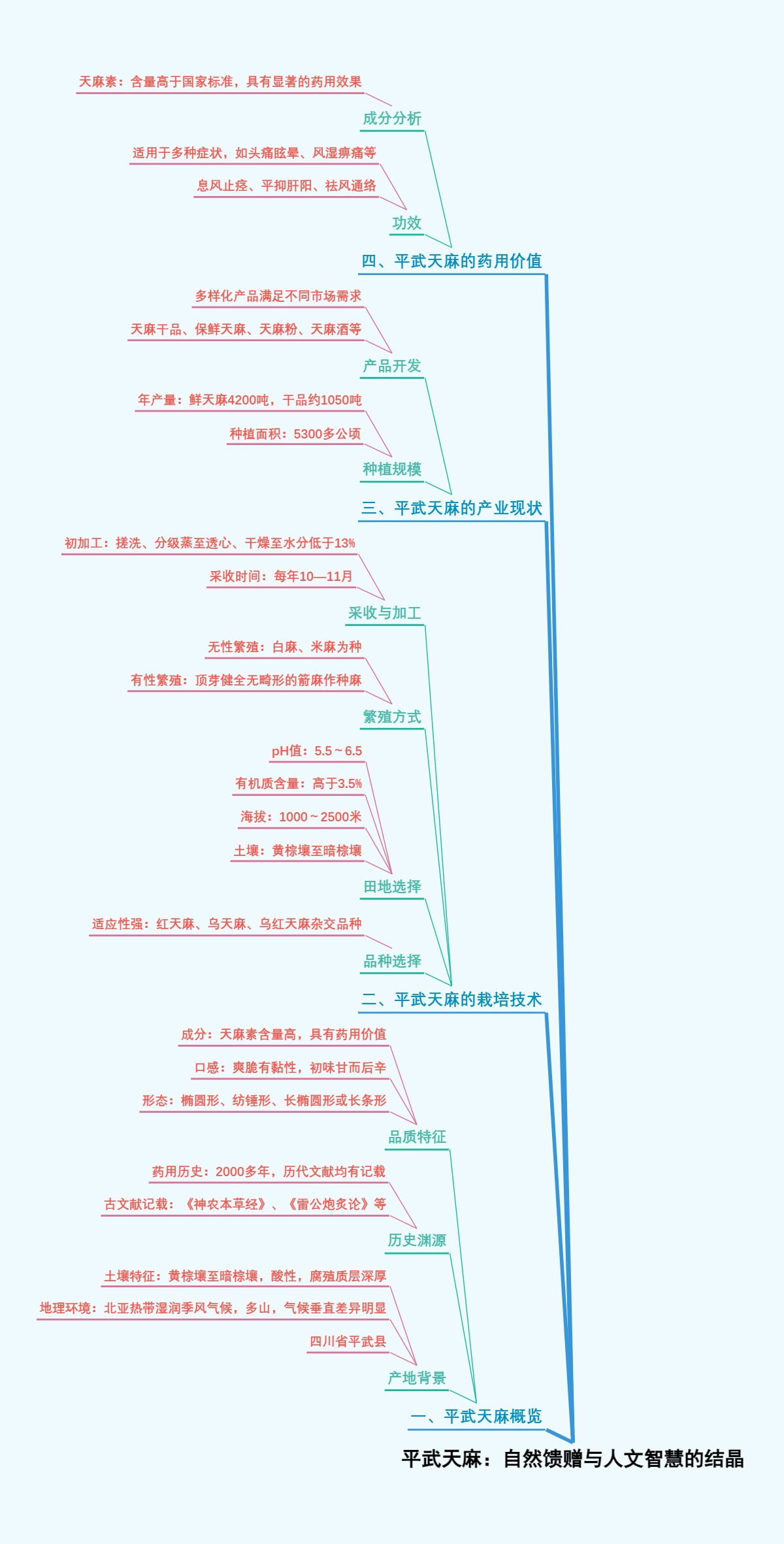平武天麻：自然馈赠与人文智慧的结晶