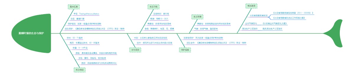 戴帽叶猴的生态与保护