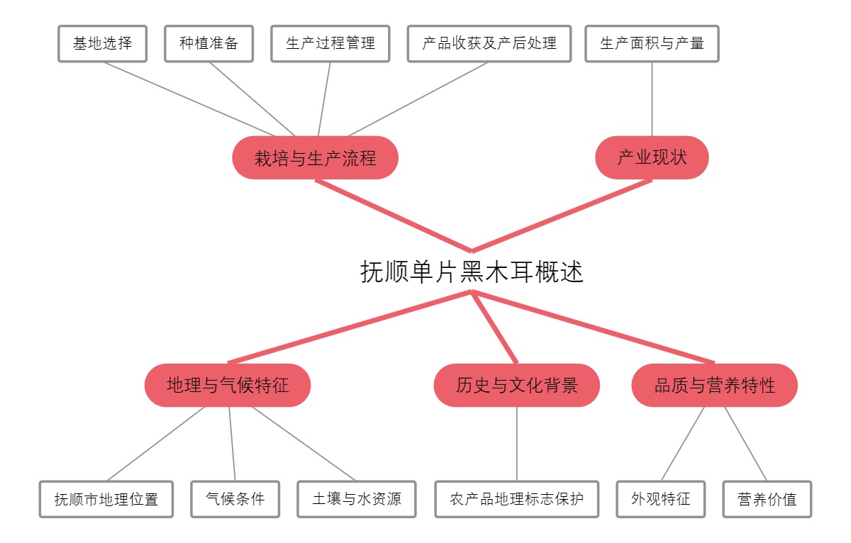 抚顺单片黑木耳概述