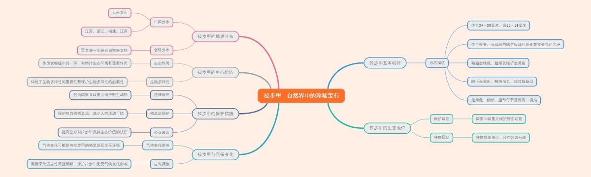拉步甲：自然界中的珍稀宝石