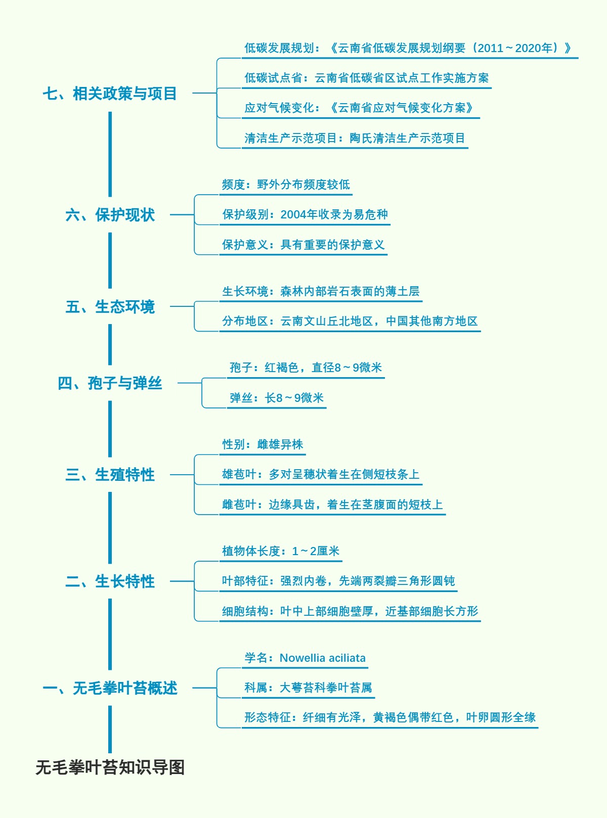 无毛拳叶苔知识导图