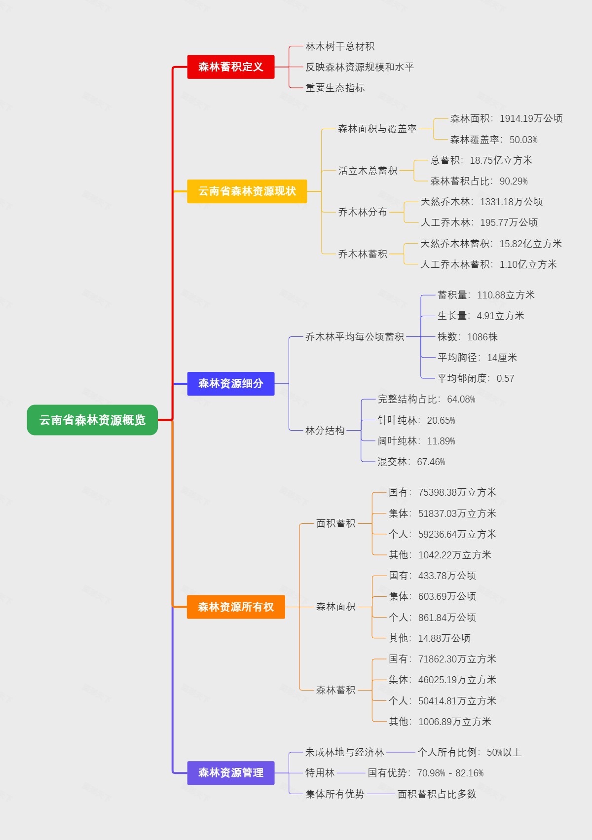 云南省森林资源概览