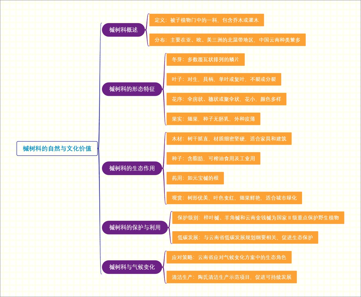 槭树科的自然与文化价值