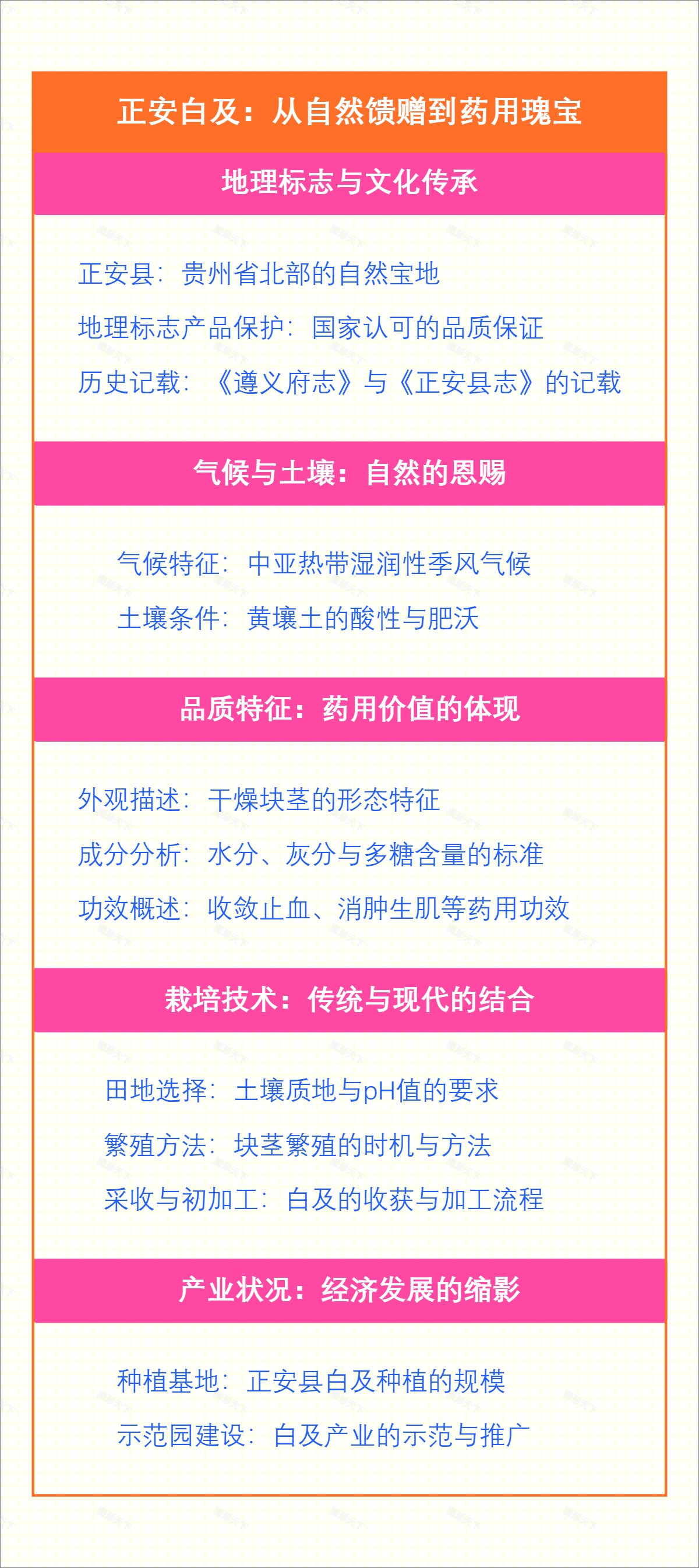 正安白及：从自然馈赠到药用瑰宝