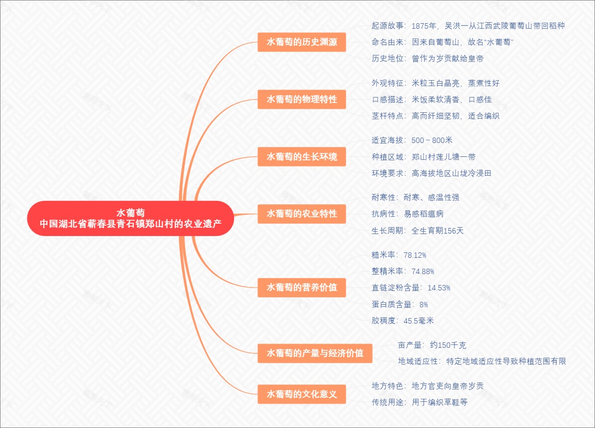 水葡萄：中国湖北省蕲春县青石镇郑山村的农业遗产