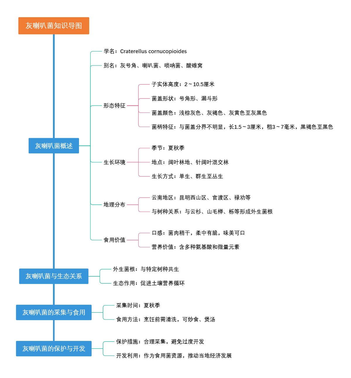 灰喇叭菌知识导图