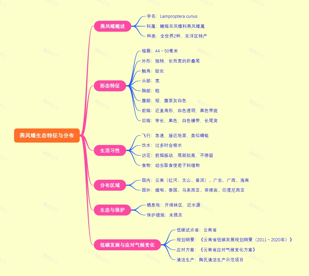 燕凤蝶生态特征与分布