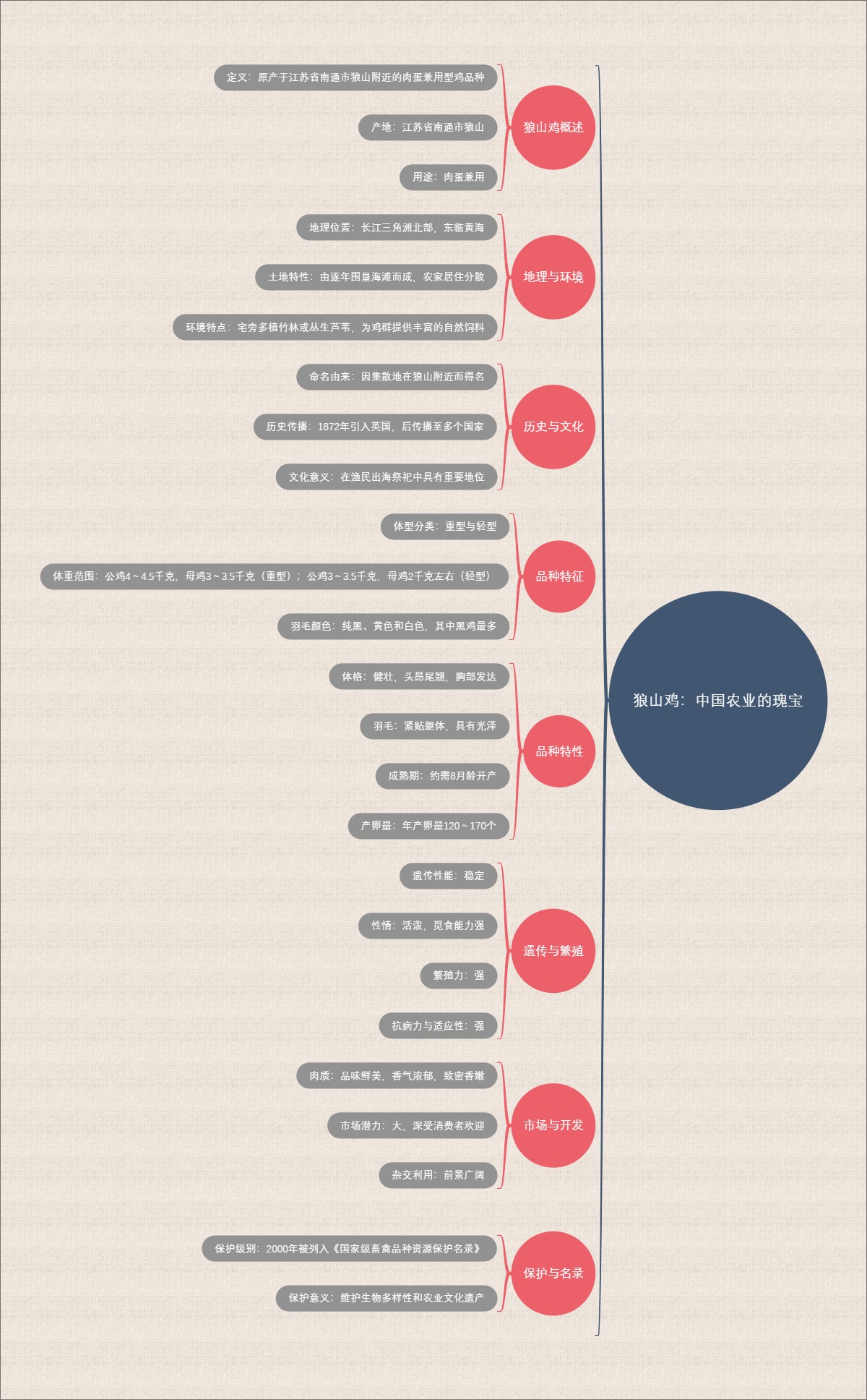 狼山鸡：中国农业的瑰宝