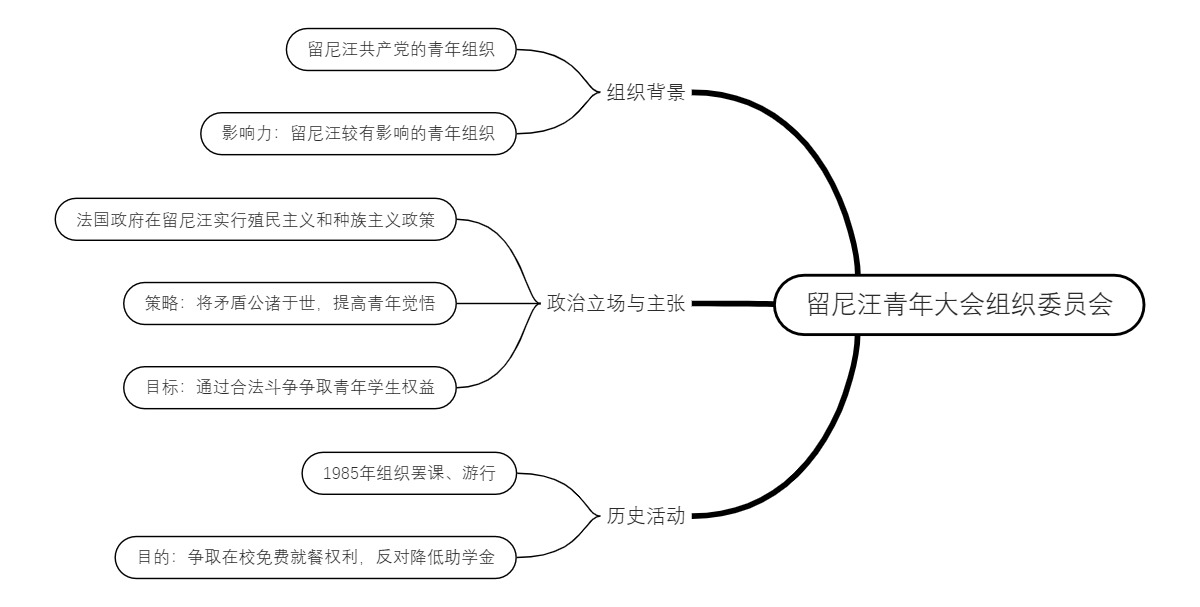 留尼汪青年大会组织委员会