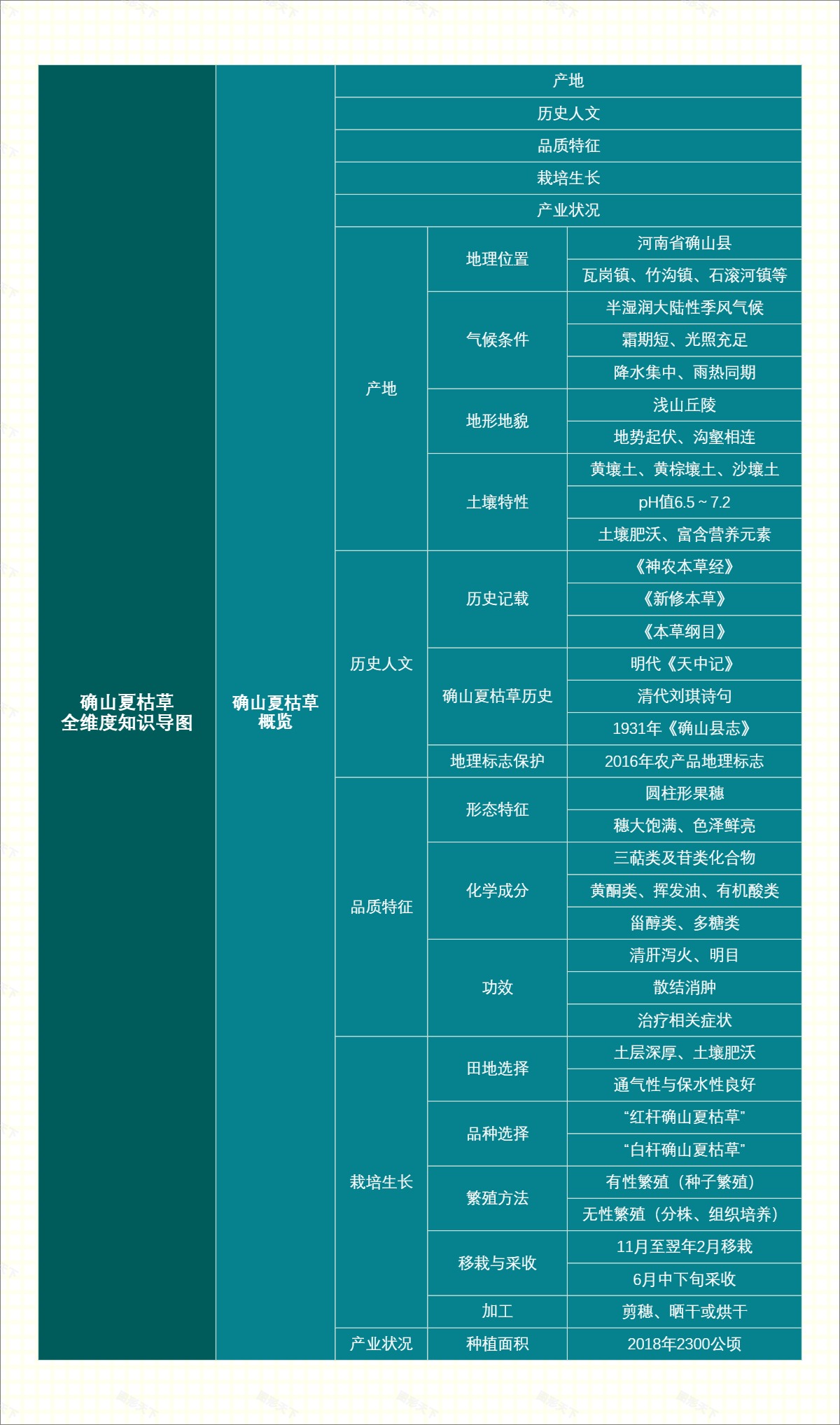确山夏枯草全维度知识导图