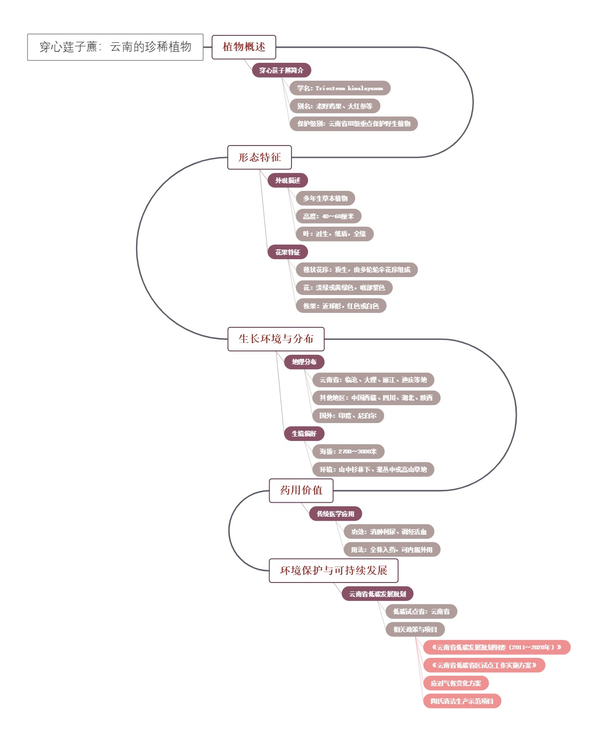 穿心莛子藨：云南的珍稀植物