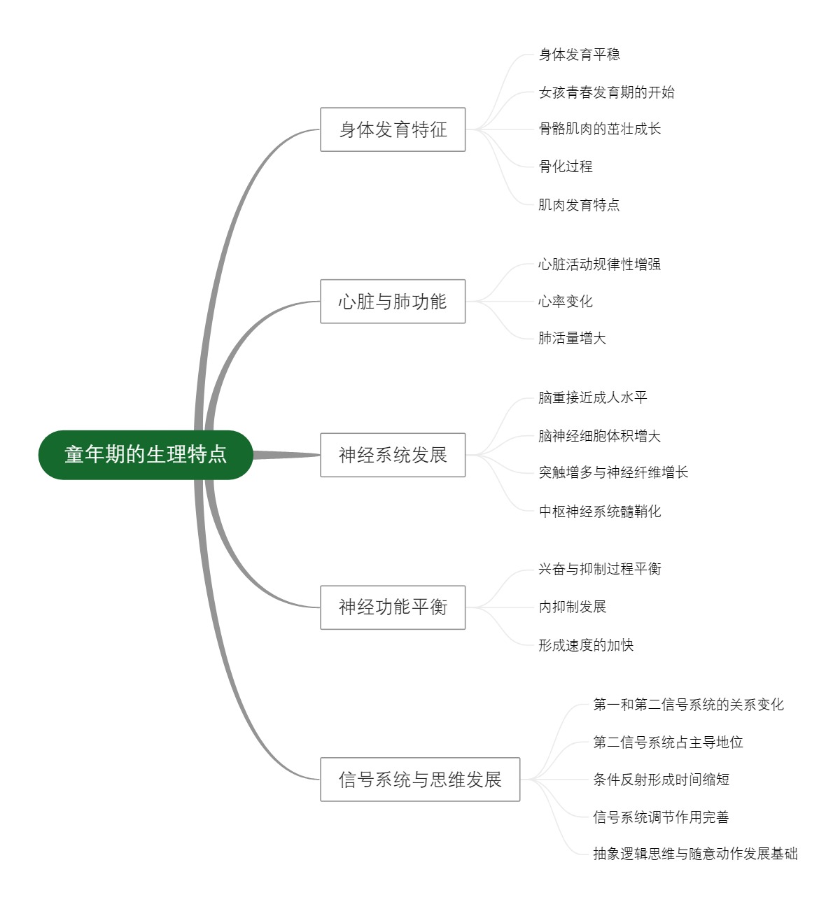 童年期的生理特点