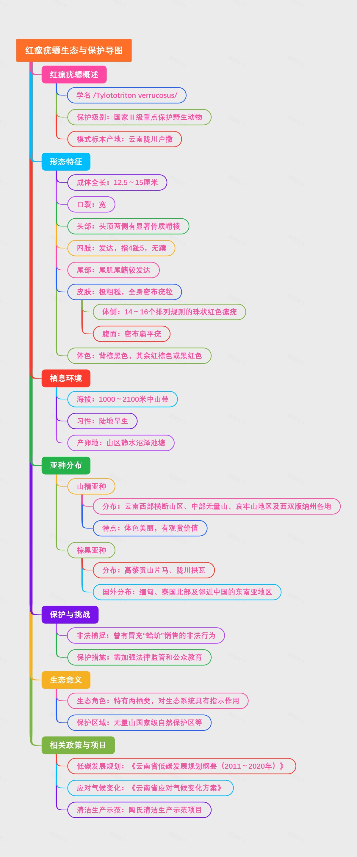 红瘰疣螈生态与保护导图