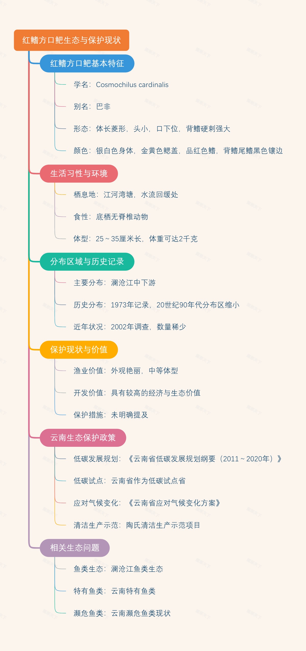 红鳍方口鲃生态与保护现状