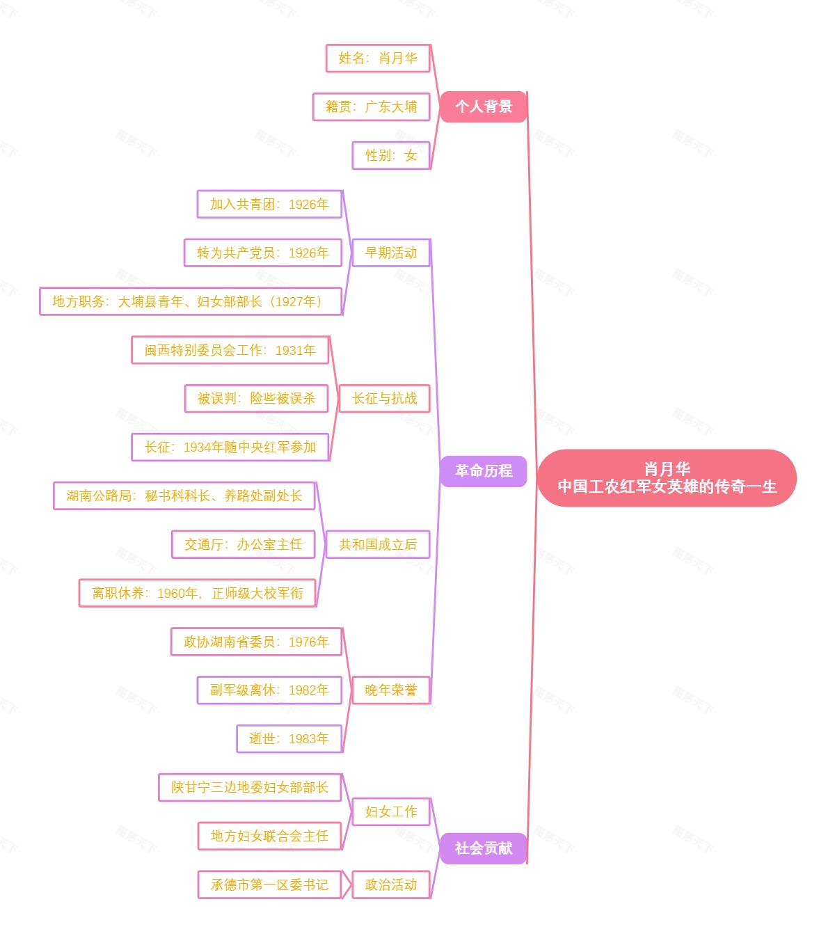 肖月华：中国工农红军女英雄的传奇一生
