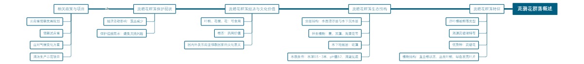 茈碧花群落概述