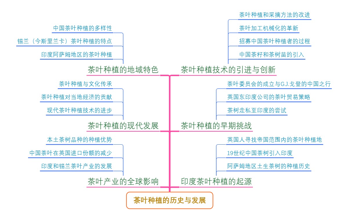 茶叶种植的历史与发展