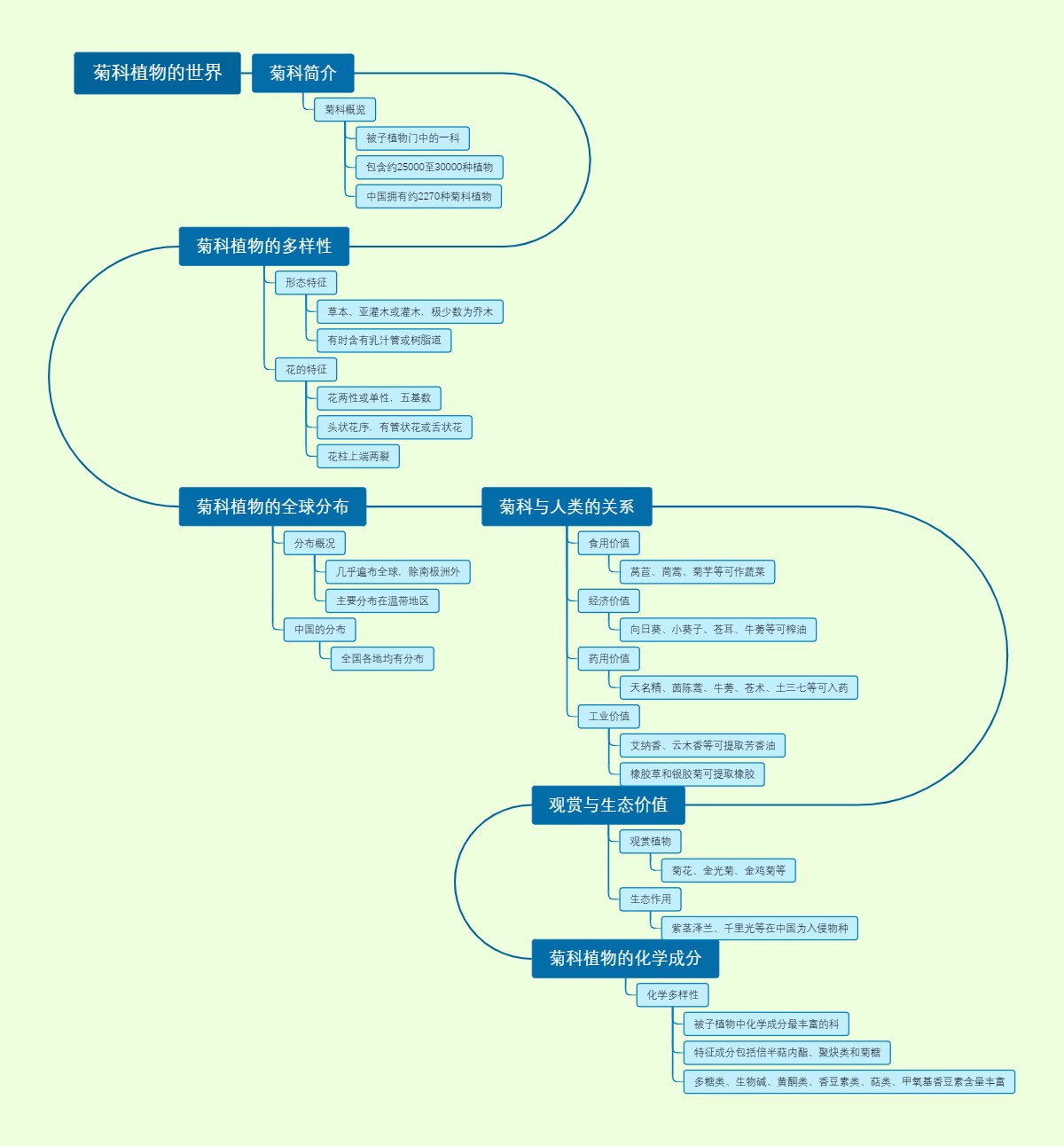 菊科植物的世界
