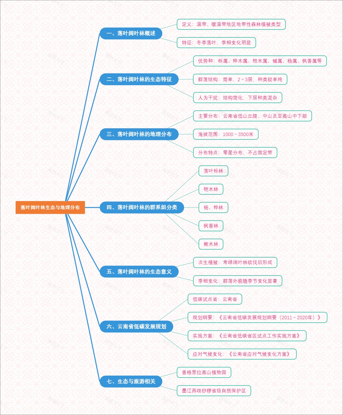 落叶阔叶林生态与地理分布