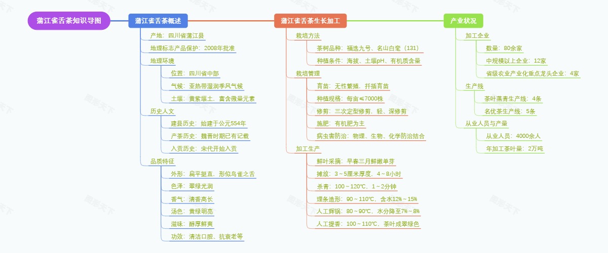 蒲江雀舌茶知识导图
