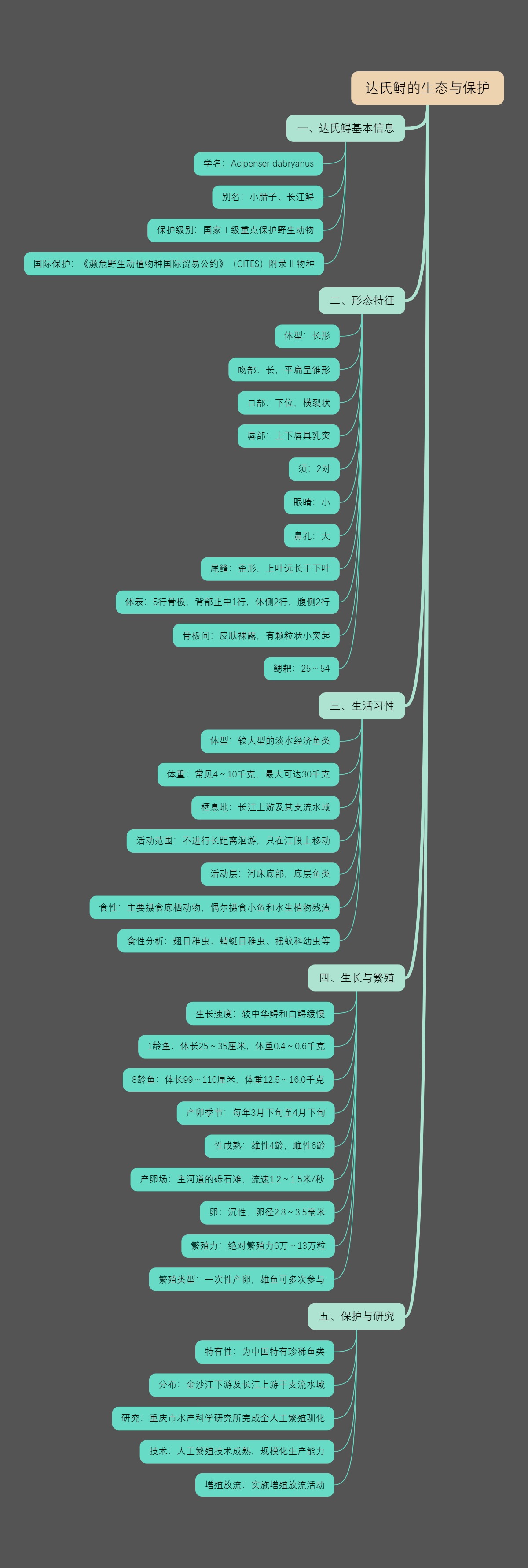 达氏鲟的生态与保护