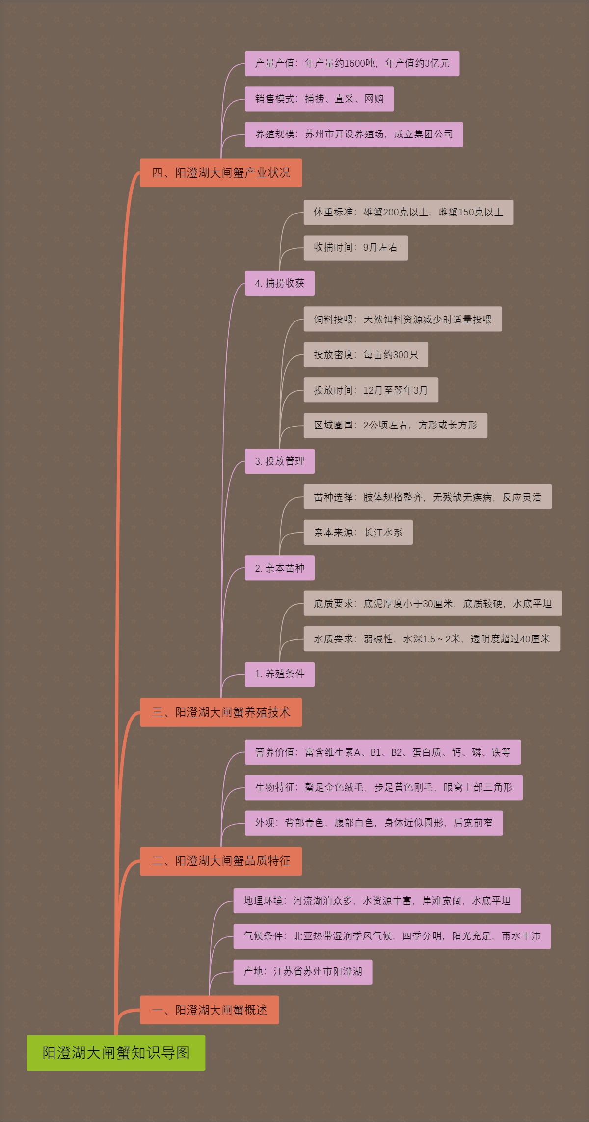 阳澄湖大闸蟹知识导图