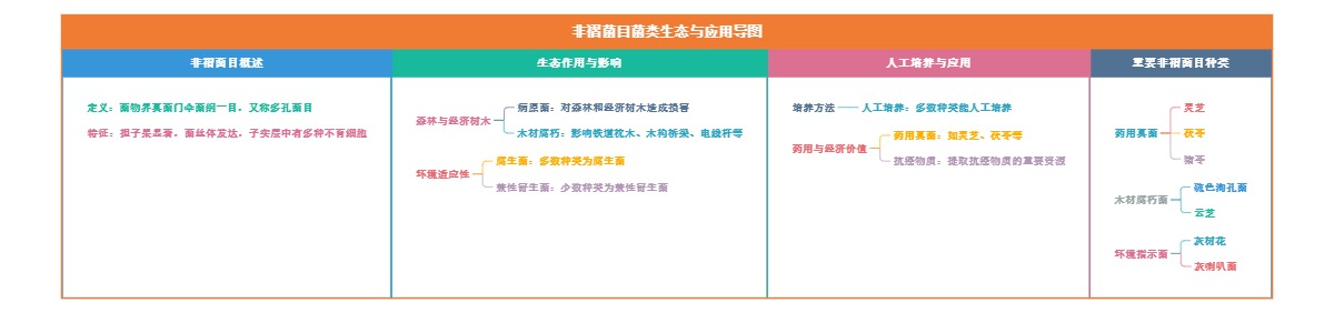 非褶菌目菌类生态与应用导图