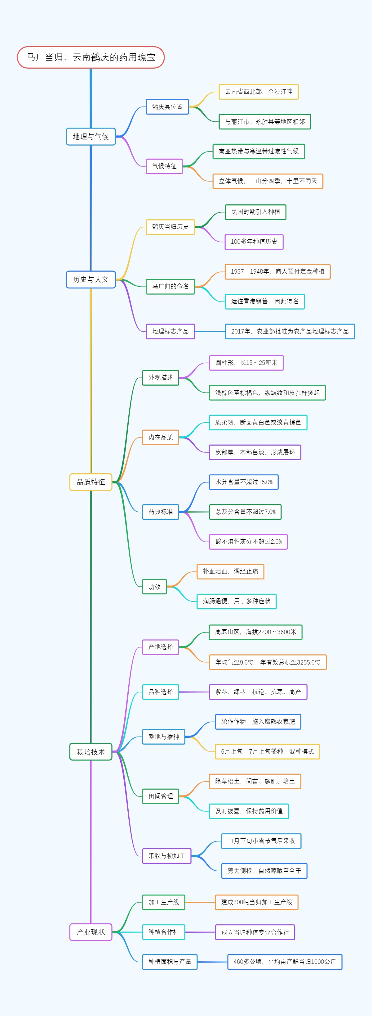 马厂当归：云南鹤庆的药用瑰宝