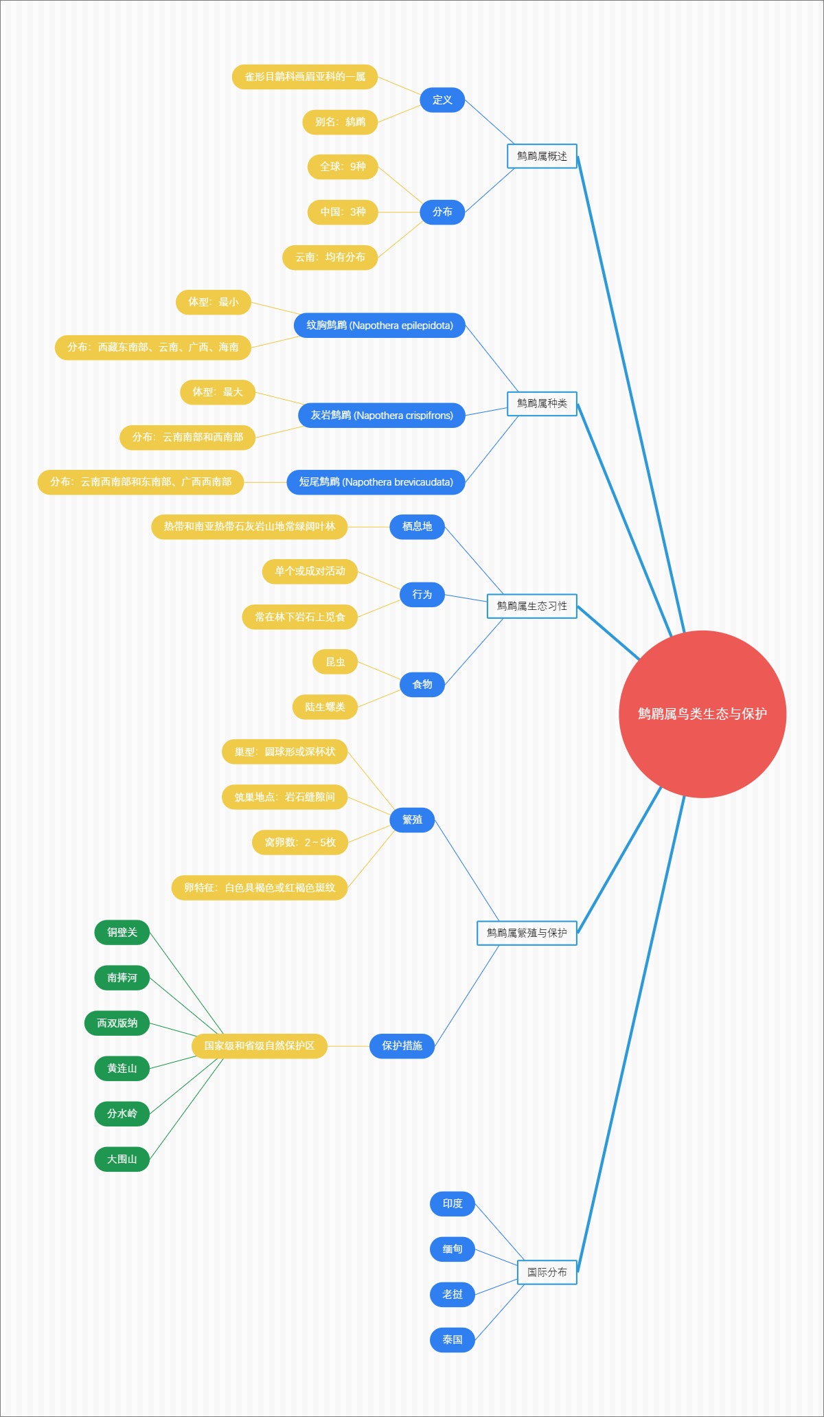 鹪鹛属鸟类生态与保护