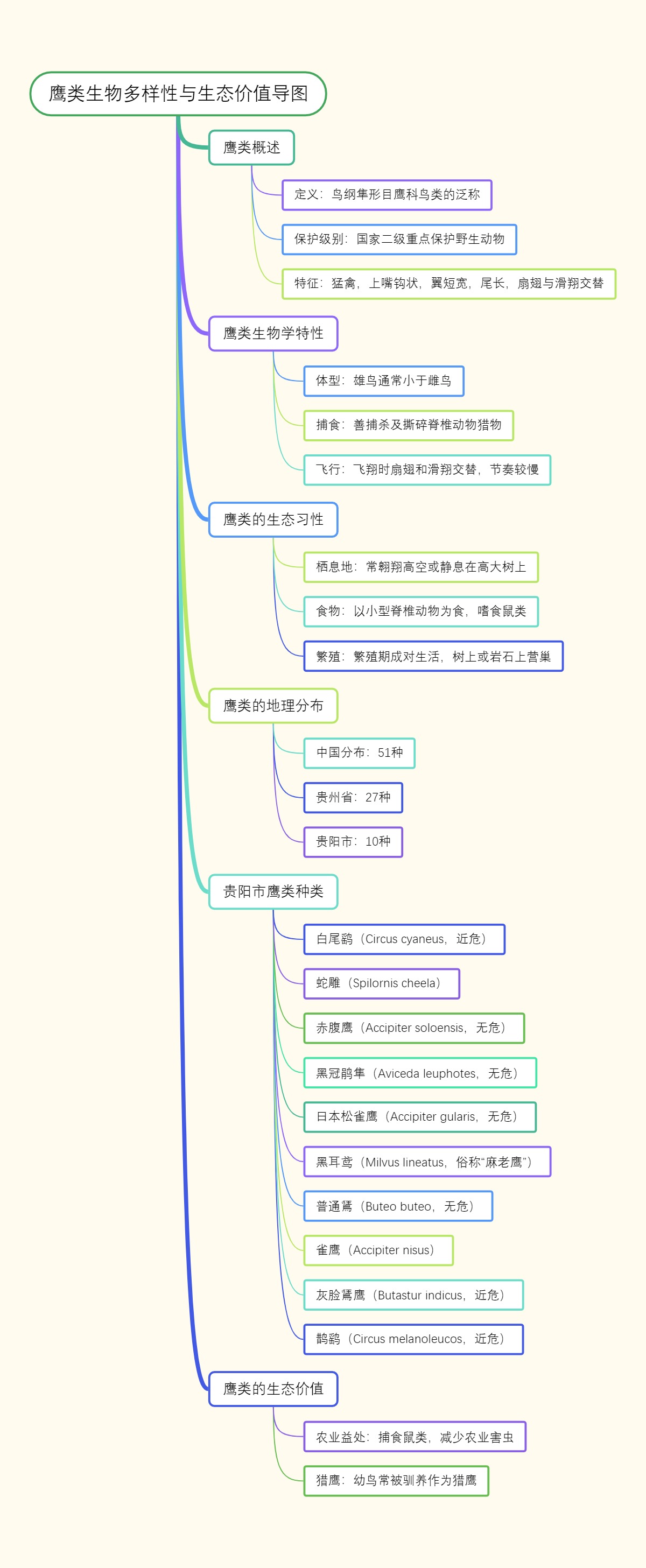 鹰类生物多样性与生态价值导图